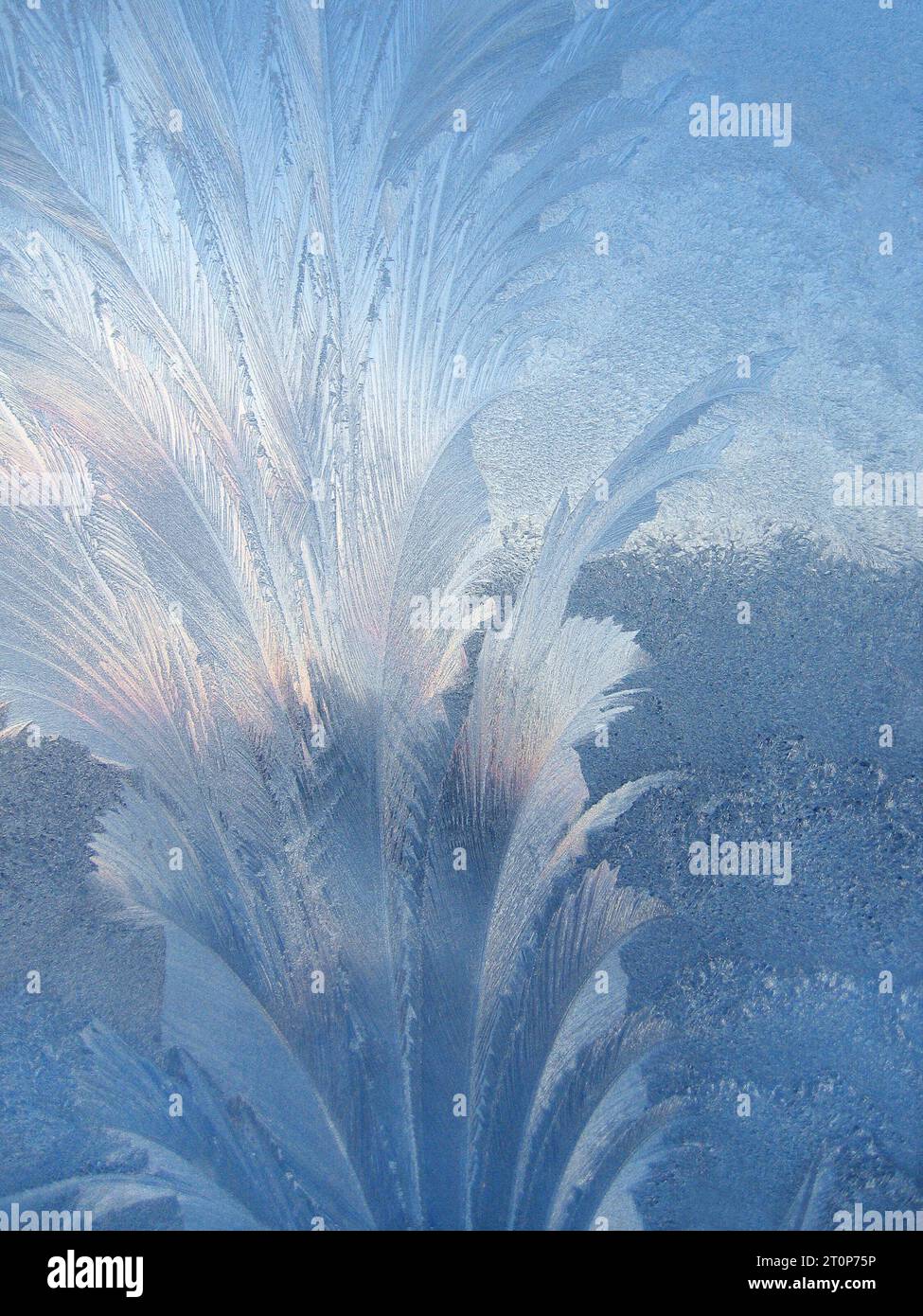 Frosty natural pattern and sunlight on winter window Stock Photo - Alamy