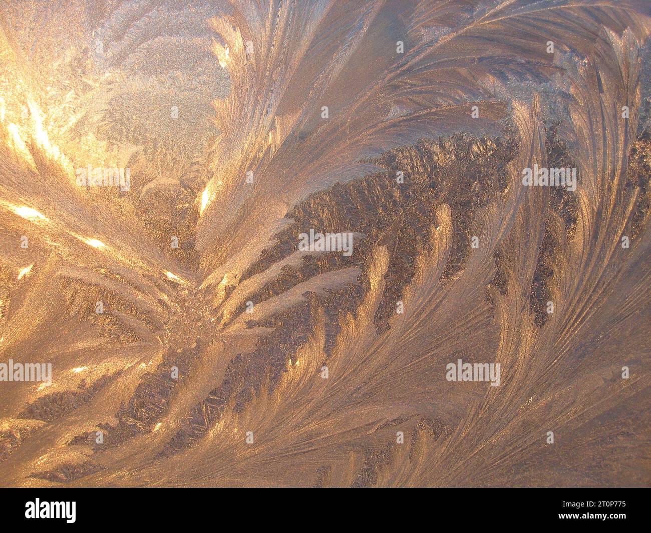 Frosty natural pattern and sunlight on winter window Stock Photo - Alamy