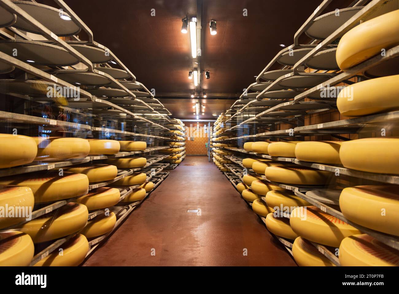Emmental cheese factory storage in Emmental canton Bern in Switzerland