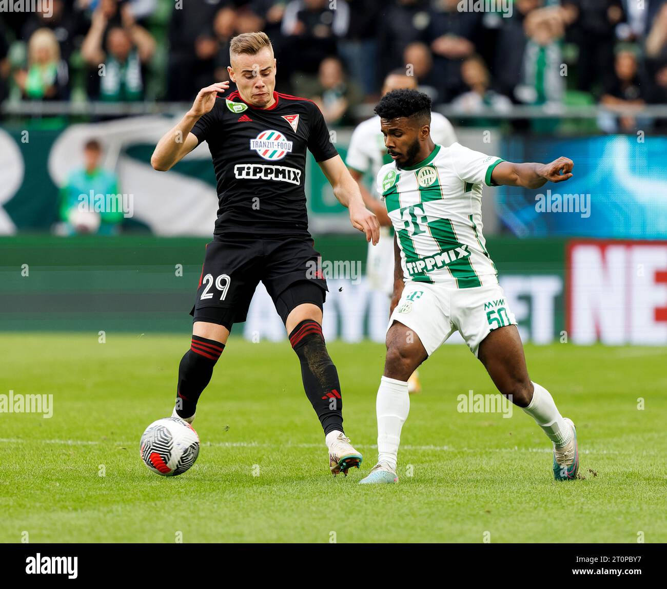 Ferencvarosi TC V Videoton FC - Hungarian OTP Bank Liga 0-0 Editorial Stock  Image - Image of marco, field: 87525754