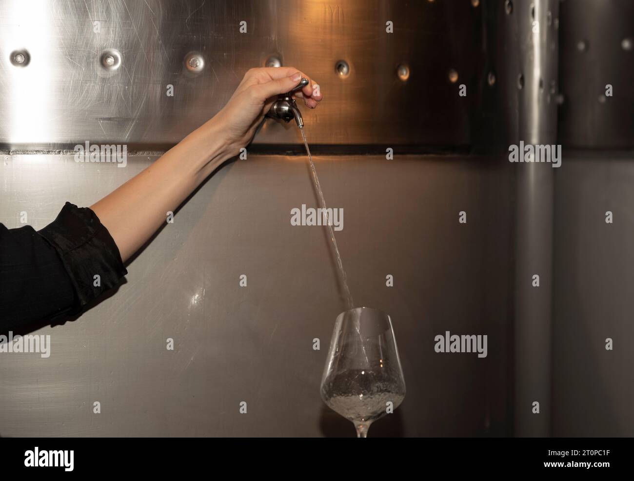 female hand pouring wine from a barrel in a winery Stock Photo