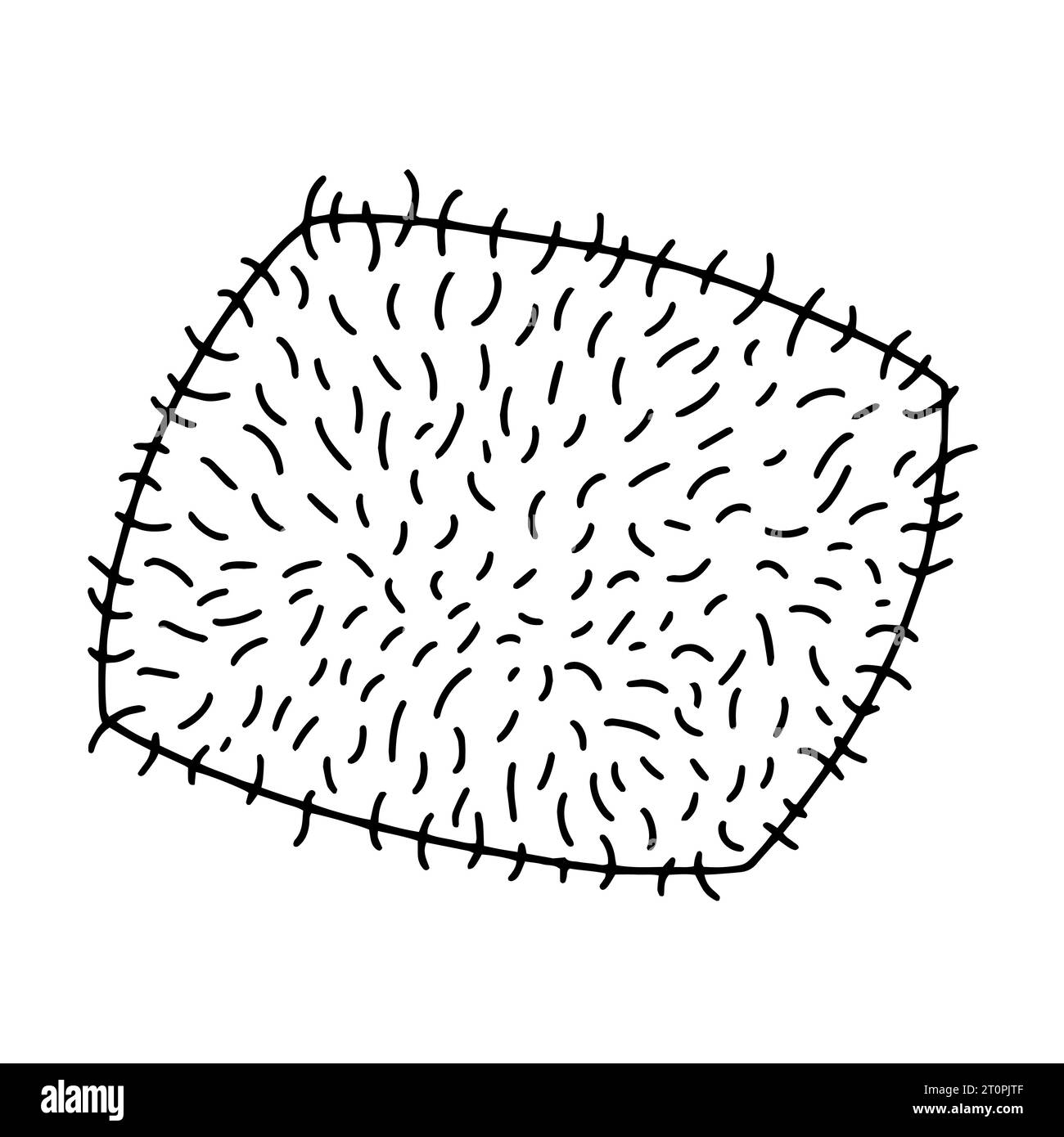 soft pillow hand drawn sketch Stock Vector Image & Art - Alamy
