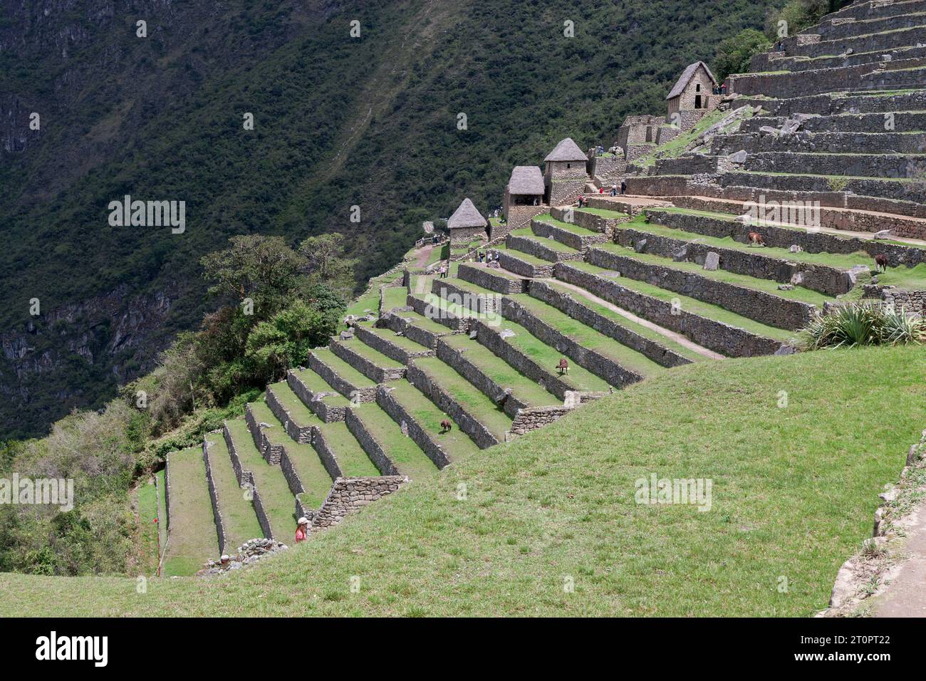 view of ruins of Machu Picchu in the Andes mountains of Peru Stock ...