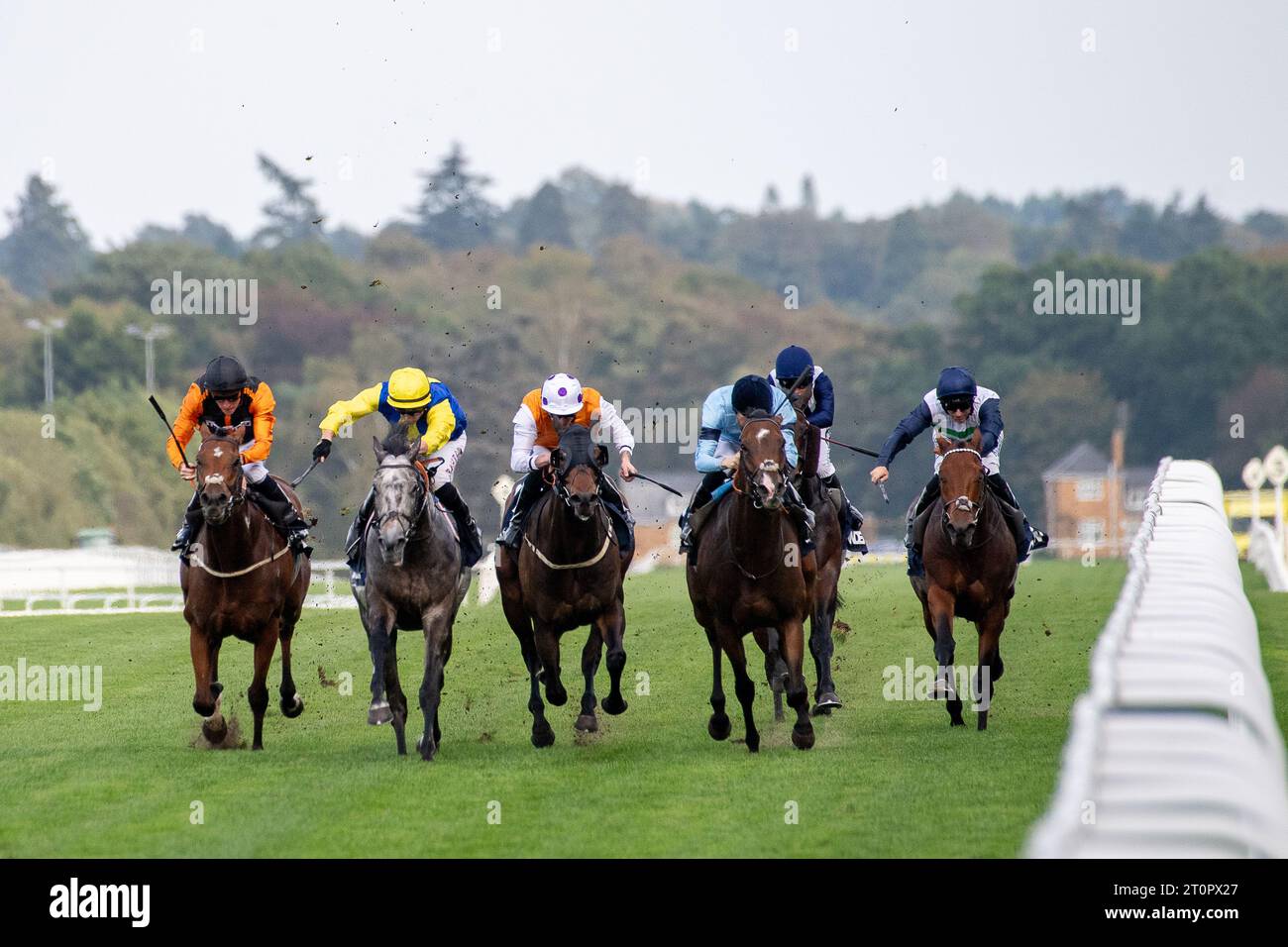 Ascot, Berkshire, UK. 7th October, 2023. Horse Atrium ridden by jockey Harry Davies (pale blue silks) wins the Howden Challenge Cup at the Autumn Racing Saturday meeting at Ascot Racecourse. Owner Highclere Thoroughbred Racing. Trainer Charlie Fellowes, Newmarket. Breeder Hunscote Stud. Sponsor Highclere Thoroughbred Racing Ltd. Credit: Maureen McLean/Alamy Live News Stock Photo