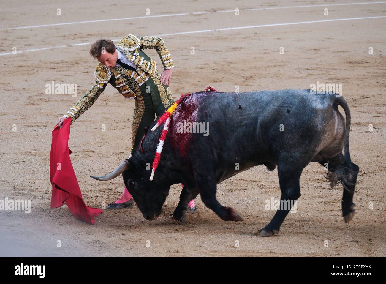 The bullfighter Román during the bullfight of the feria de otoño in the Plaza de las Ventas de Madrid, October 8, 2023 Spain Stock Photo
