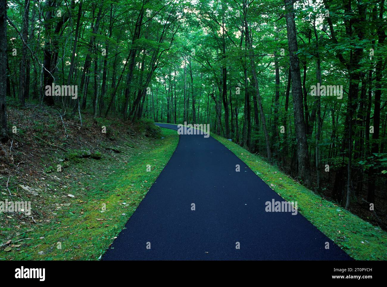 Park Road, Babcock State Park, West Virginia Stock Photo - Alamy