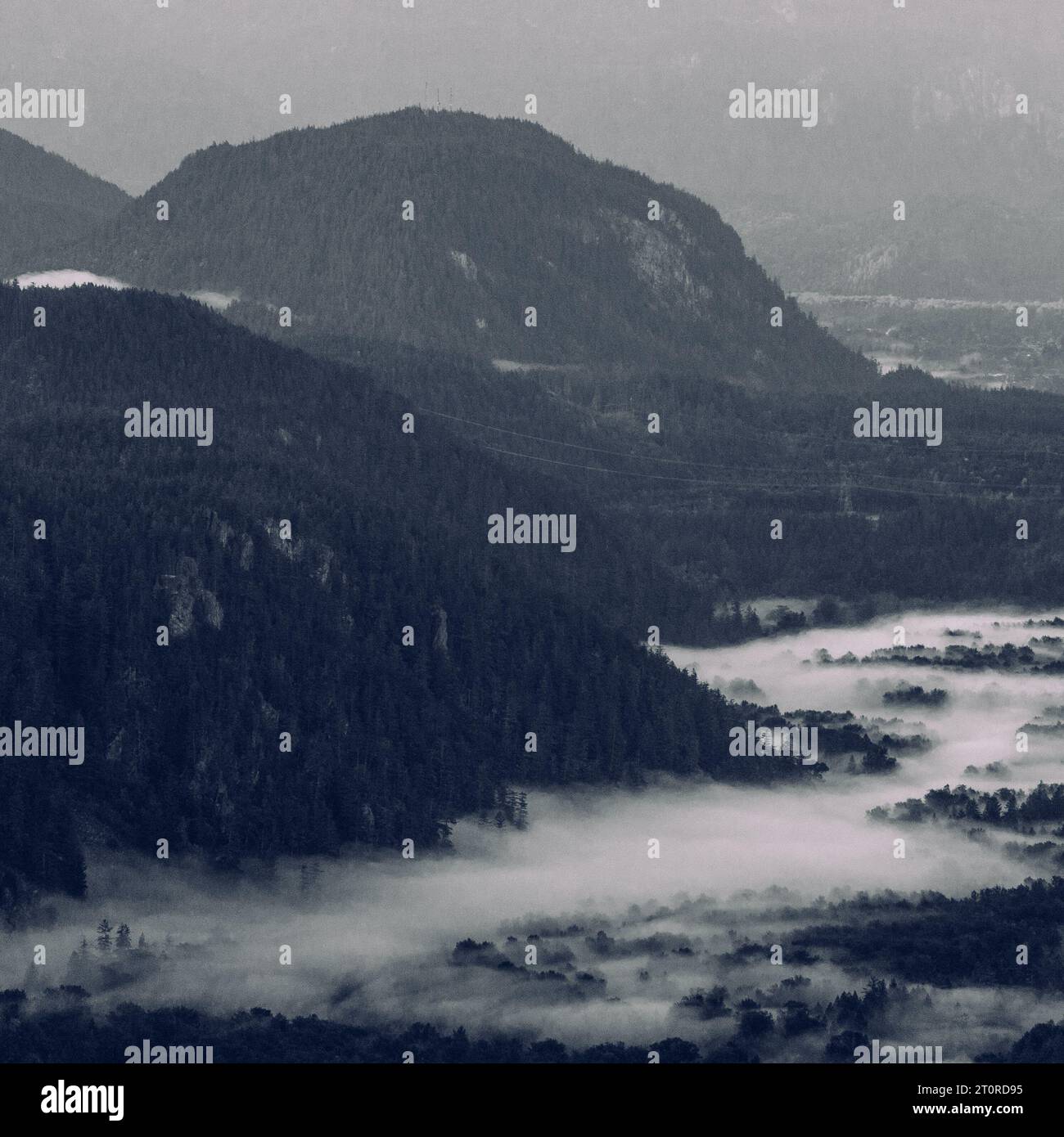 A Misty Valley near Squamish, BC Stock Photo