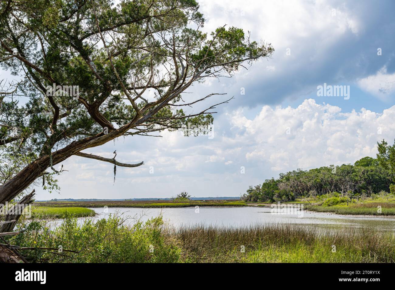 View of Haulover Creek along the east side of Fort George Island in Jacksonville, Florida. (USA) Stock Photo