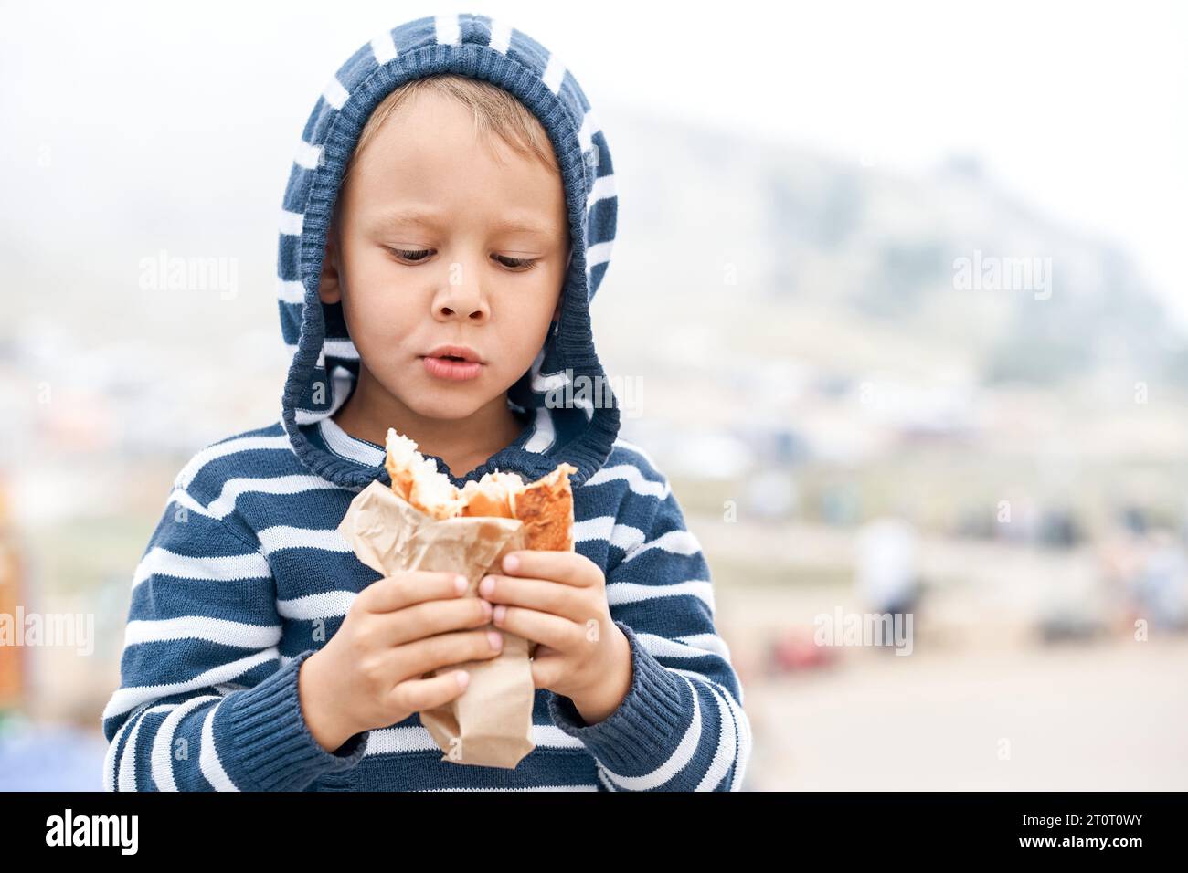 Lovely little boy holds tasty hotdog walking in mountain park. Child eating healthy snack on travel portrait. Calm kid with sandwich outdoors Stock Photo