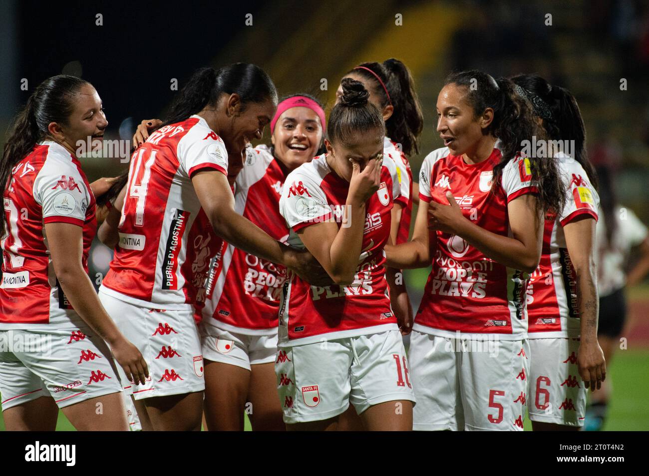 Deporte en Avellaneda: Arsenal Fútbol Club, Club Atlético Independiente,  Racing Club, El Equipo de José, Estadio Libertadores de América