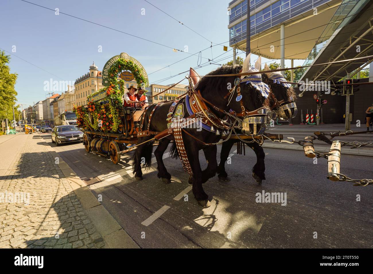 Munich, Germany, EU - Sept. 16, 2023. Oktoberfest Augustiner Beer Brewery Parade Float with horse drawn carriage, cart with beer keg barrels on street Stock Photo