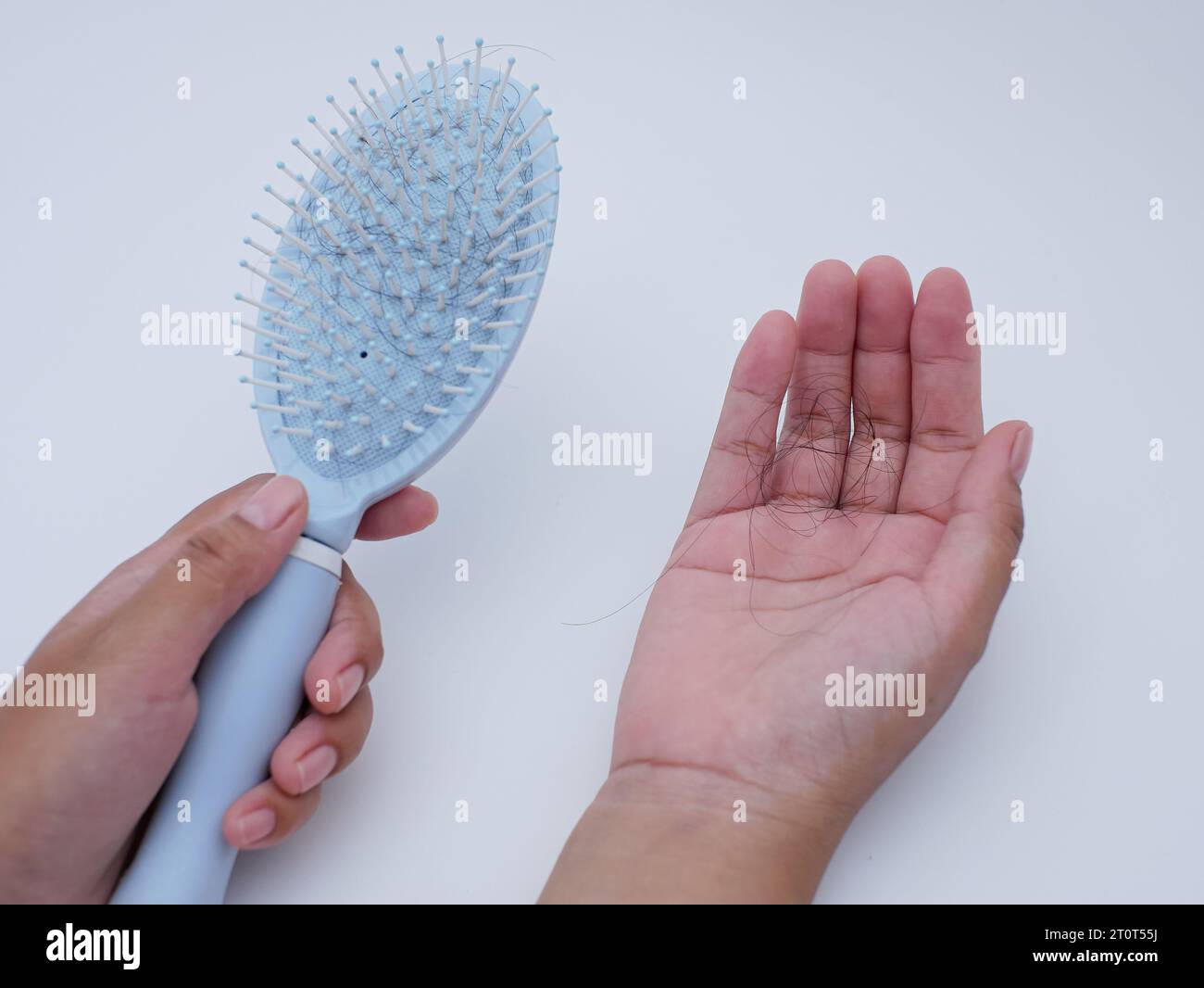 hand holding a comb with hair. hair fall after combing in hairbrush Stock Photo