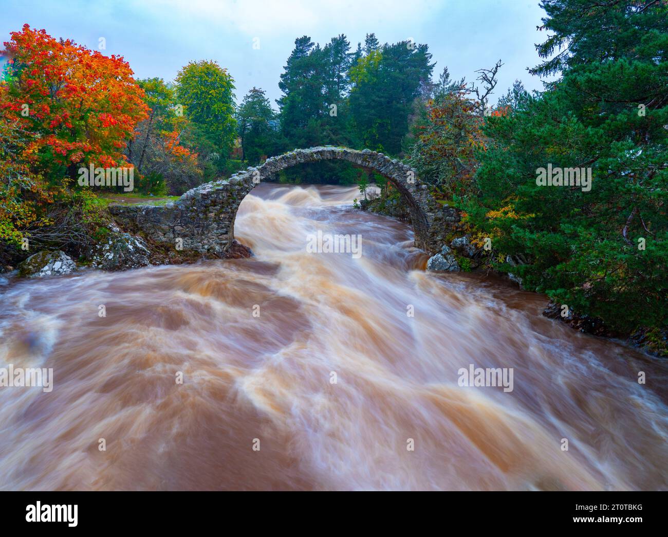 The River Dulnain flows under the Old Pack Horse Bridge in Carrbridge, Scottish Highlands, Scotland Stock Photo