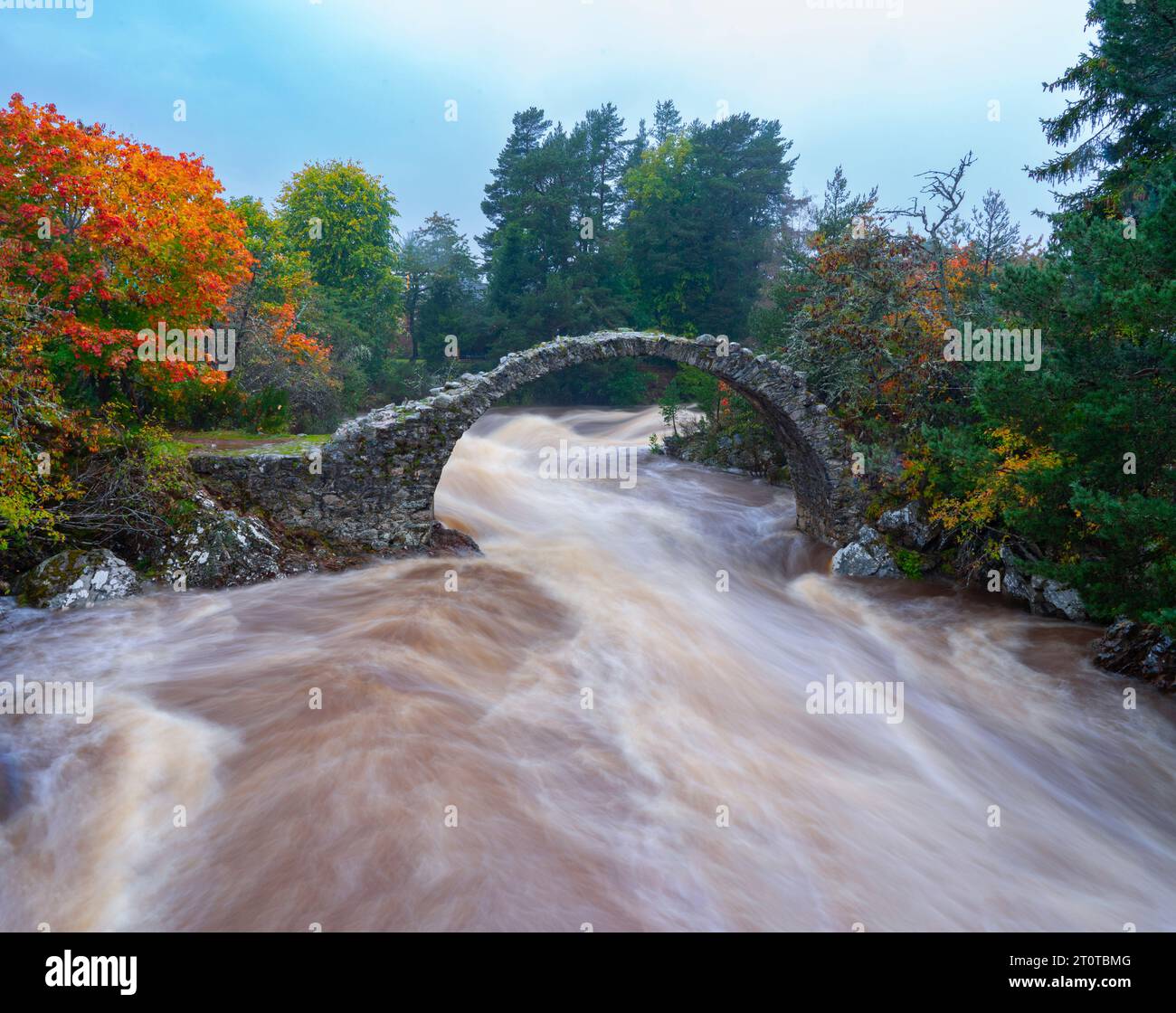 The River Dulnain flows under the Old Pack Horse Bridge in Carrbridge, Scottish Highlands, Scotland Stock Photo
