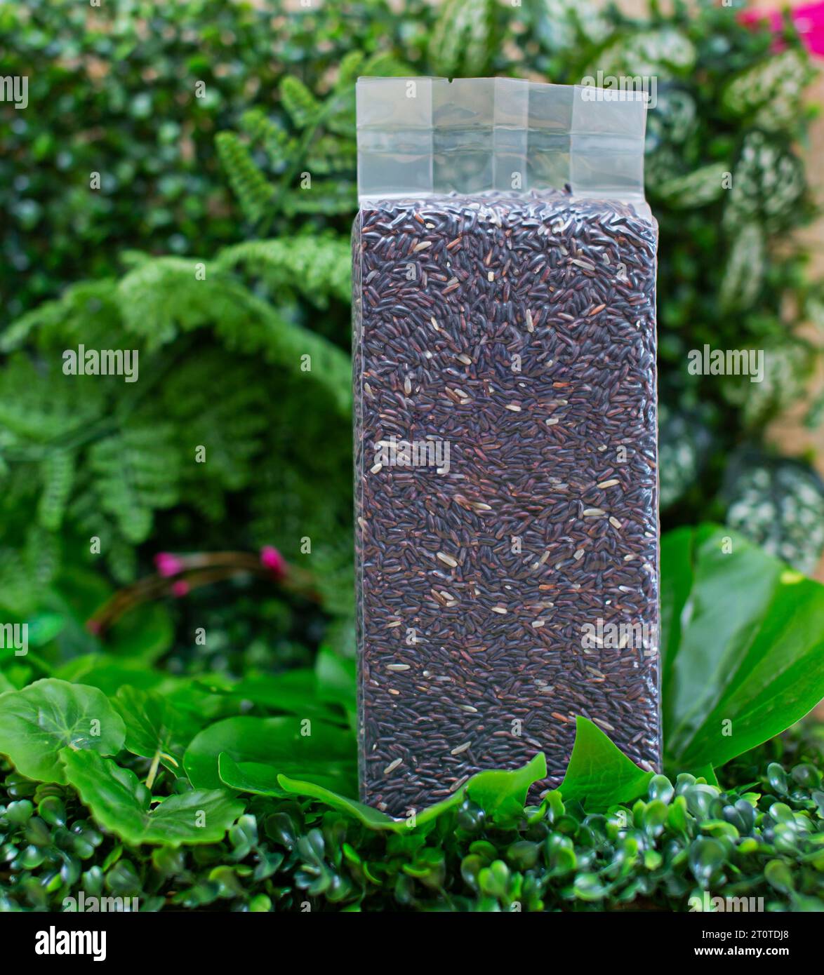 Black rice in a plastic vacuum sealed bag. packaging mockup collection Standing front view package Stock Photo