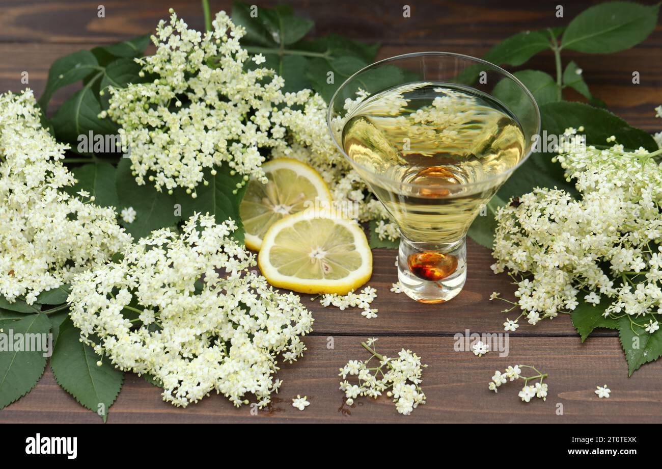 original glass with elderflower liqueur with decoration of elder flowers on wooden background Stock Photo