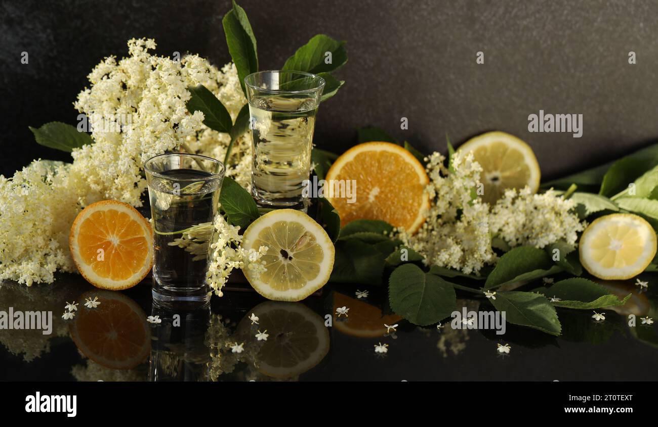 glasses with elderflower liqueur with decoration of elder flowers and sliced citrus on black background Stock Photo