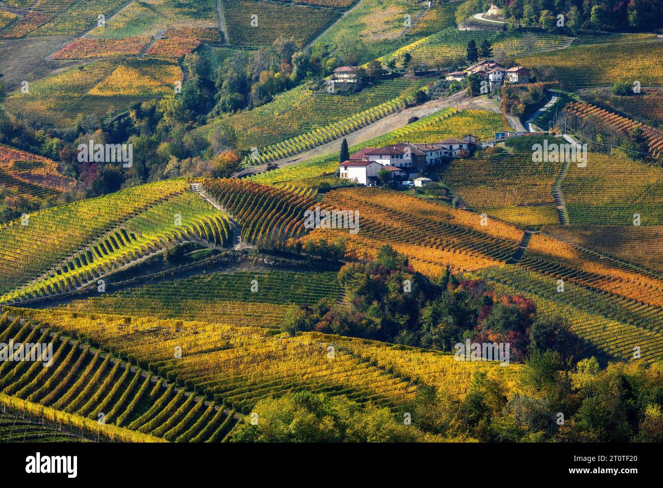 View of the colorful autumnal vineyards and small village on the hills of Langhe in Piedmont, Italy. Stock Photo