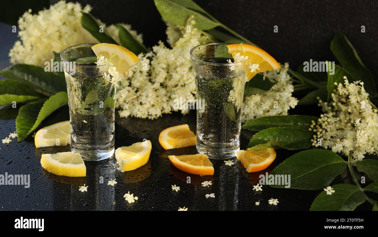 glasses with elderflower liqueur with decoration of elder flowers and sliced citrus on black background with water drops Stock Photo