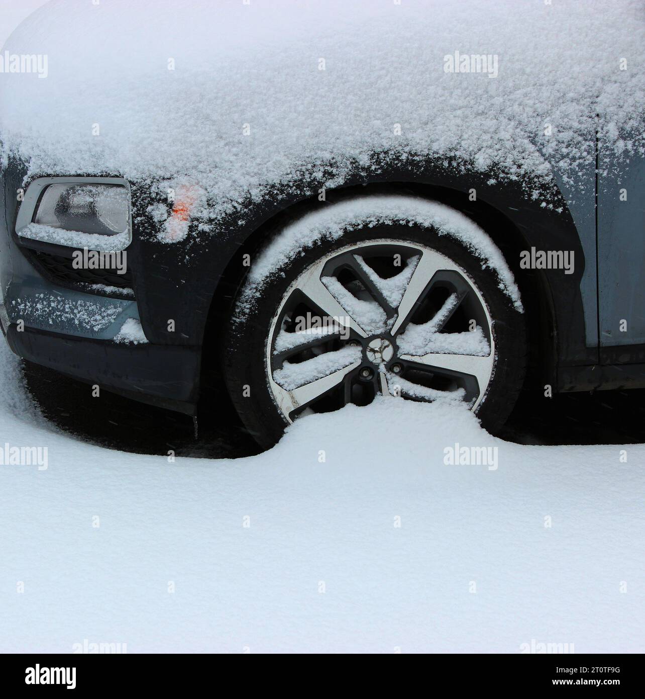 Front Car Wheel Covered With Snow Stands On A Asphalt Road Detailed Stock Photo Stock Photo