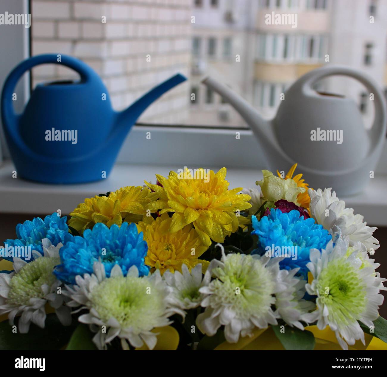 White And Blue Plastic Watering Cans On A Windowsill With FLovers In A Foreground Stock Photo