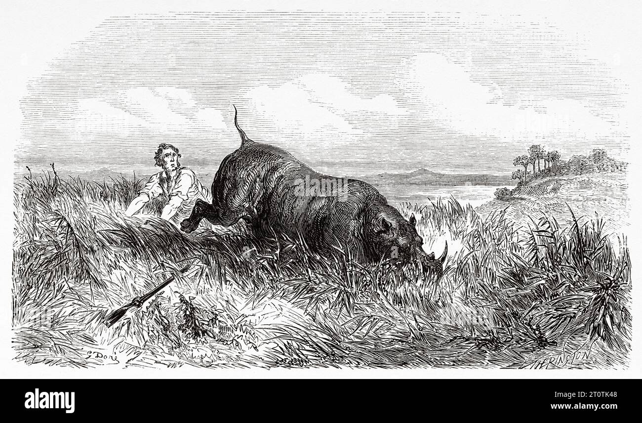 Rhinoceros hunting in Africa. Adventures and Hunts of the Traveler Charles John Andersson in Southern Africa from 1850 to 1860. Old 19th century illustration by Gustave Doré (1832 - 1883) from Le Tour du Monde 1860 Stock Photo