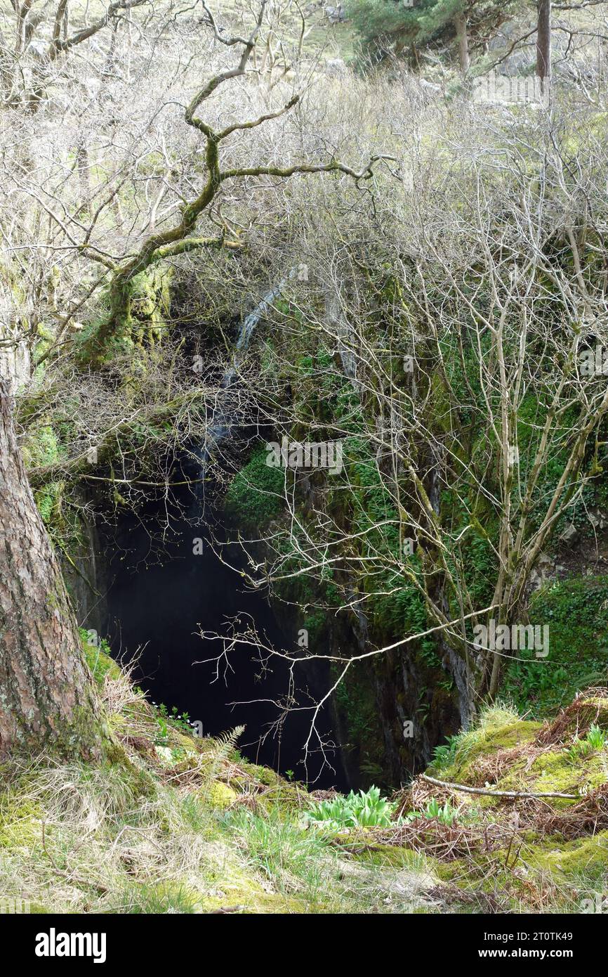 Alum cave trail hi-res stock photography and images - Alamy