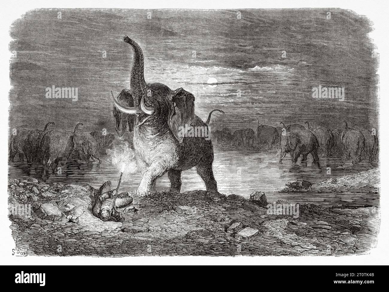 Hunter surprised by an elephant, Africa. Adventures and Hunts of the Traveler Charles John Andersson in Southern Africa from 1850 to 1860. Old 19th century illustration by Gustave Doré (1832 - 1883) from Le Tour du Monde 1860 Stock Photo