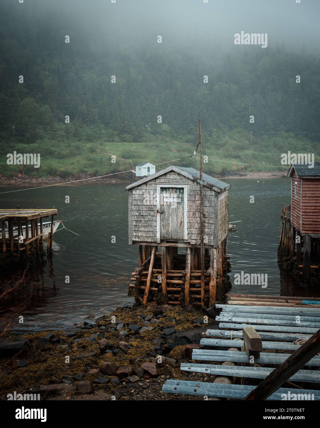 Foggy coastal scene in Rose BlancheHarbour le Cou, Newfoundland and