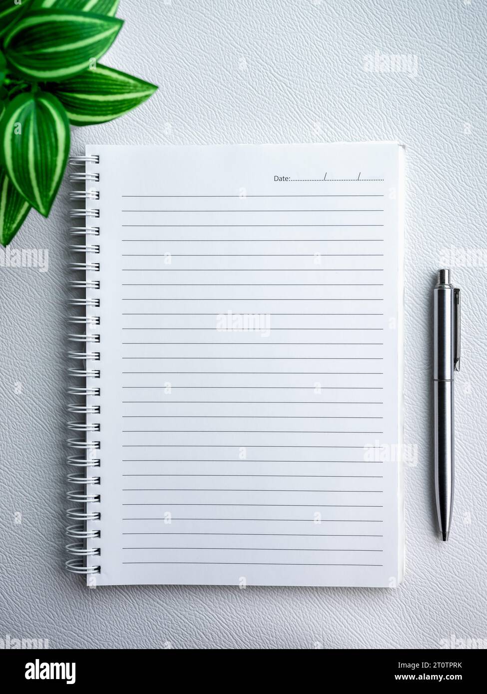 Empty blank of notebook diary page. Template white paper sheet with line and date for note on vertical spiral notepad near a silver pen and green plan Stock Photo