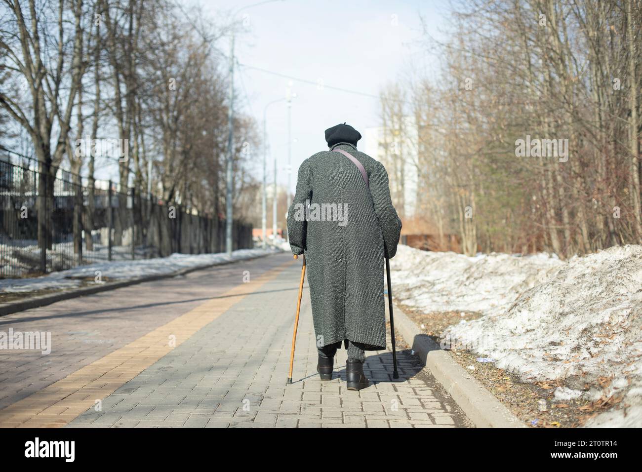 Pensioner walks down road. Elderly woman on street. Walk in Park. Stock Photo