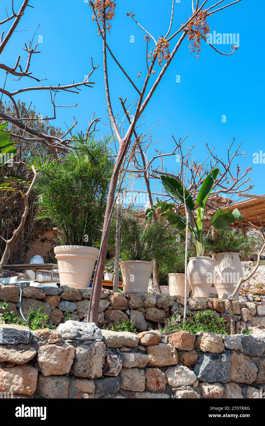 Multiple white planting pots sitting on a ledge Stock Photo Alamy