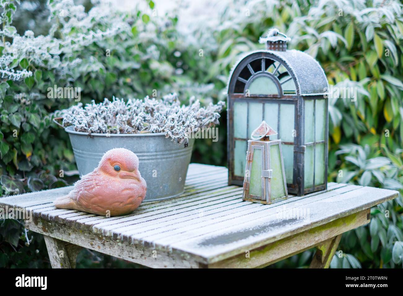Frozen table with decoration. Sculpture of the bird and lanterns. Stock Photo