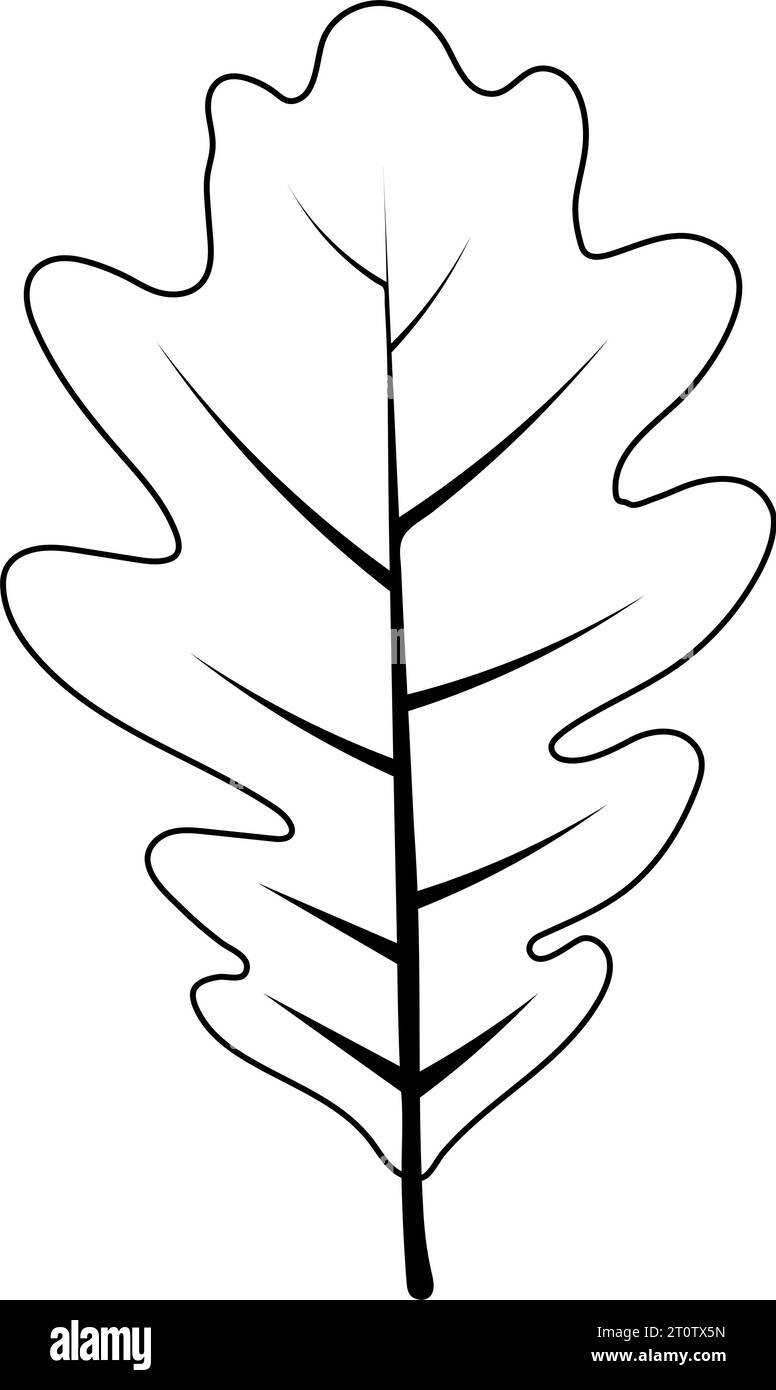 Autumn oak tree leaf Leaf fall Vector illustration Stock Vector Image