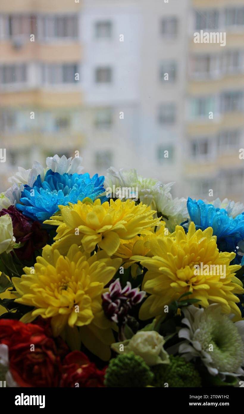 Vertical Photo Of Flowers Head In Bloom In Front Of Window Glass Against Multi Storey Apartments With Soft Focus Background Stock Photo