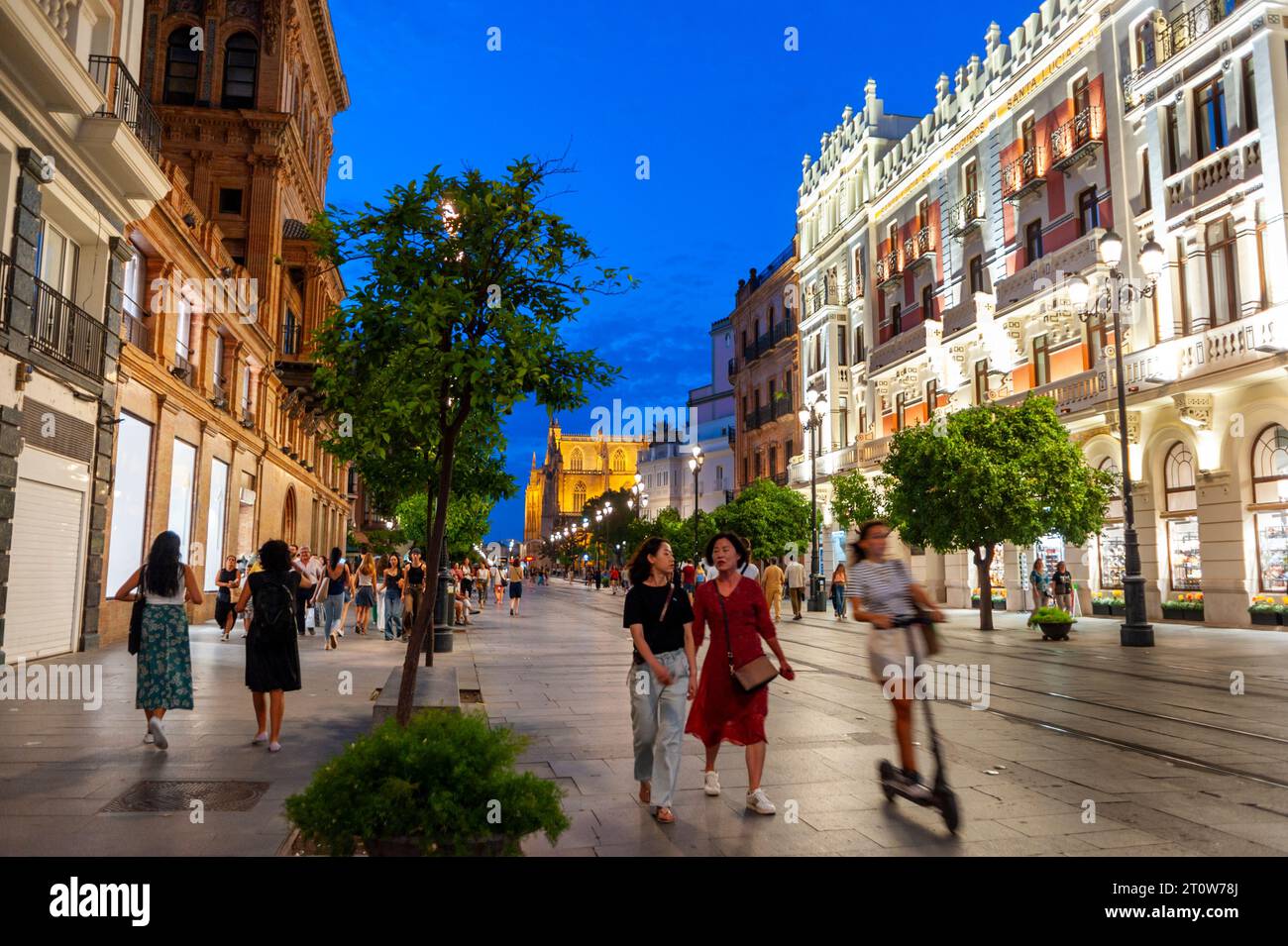 Seville, Spain, Street Scene, Tourists Visiting City Center, Night, Ave. de la Constitution Stock Photo
