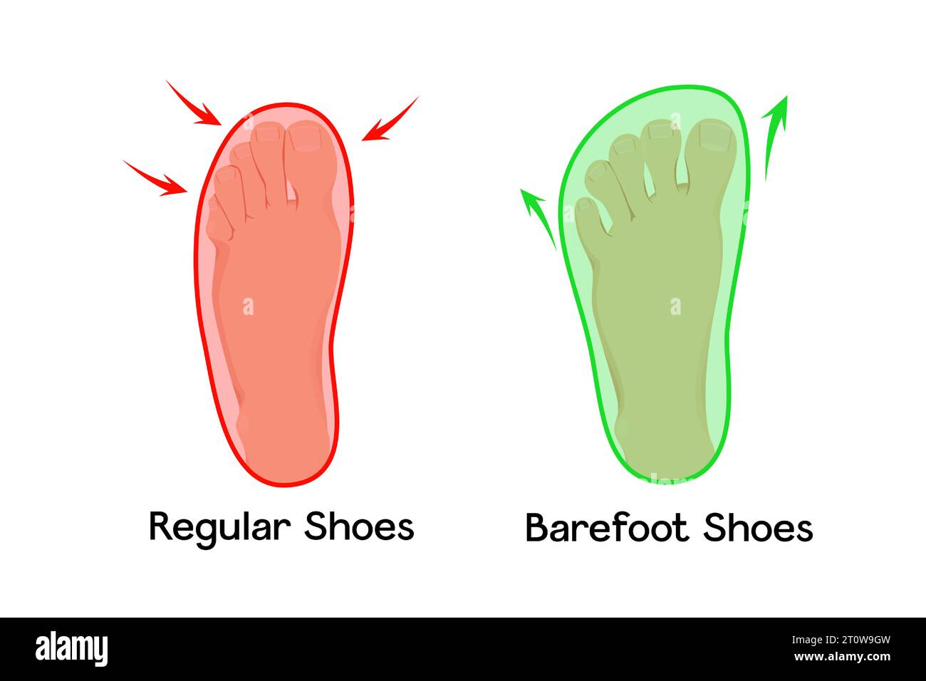 Compare regular vs barefoot shoes vector illustration Stock Vector