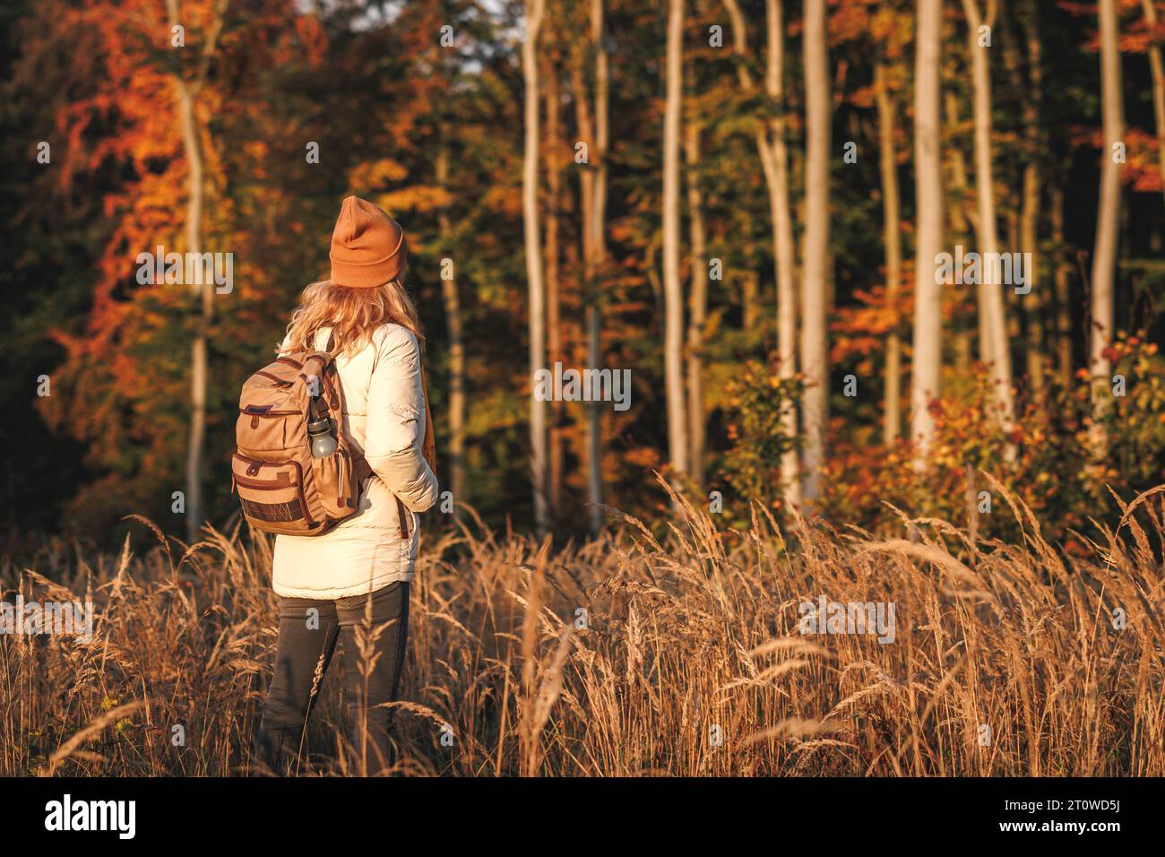Woman with backpack, jacket and knit hat hiking in autumn forest Stock Photo