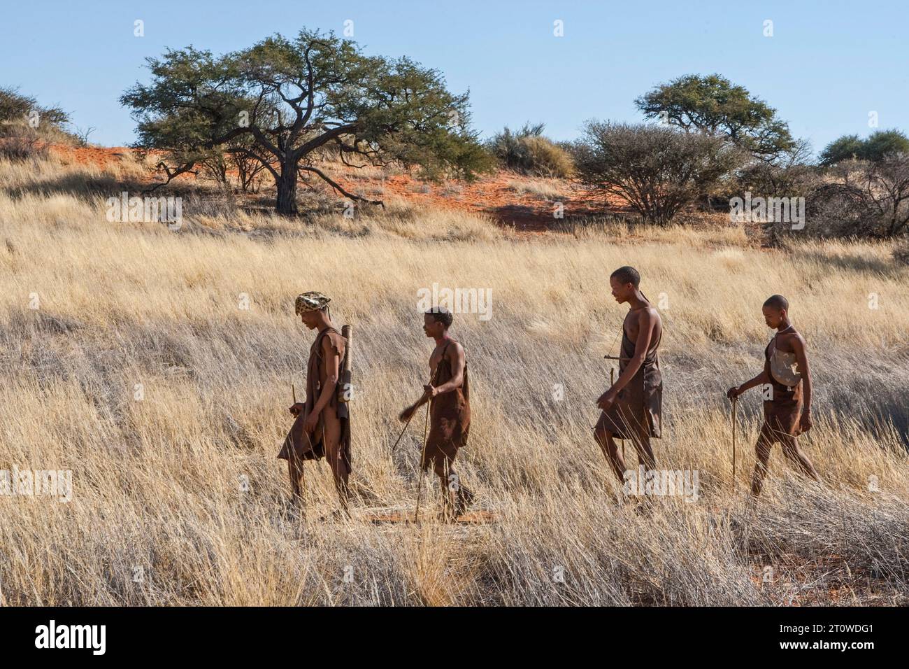 NAMIBIA SOUTHERN AFRICA Stock Photo Alamy namibia-southern-africa-stock-photo-alamy