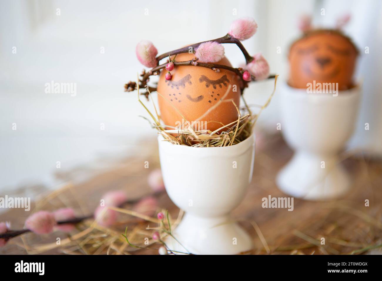 8 February 2023: Easter egg in egg cup with crown of branches and face. Easter concept *** Osterei in Eierbecher mit Krone aus Zweigen und Gesicht. Ostern Konzept Credit: Imago/Alamy Live News Stock Photo