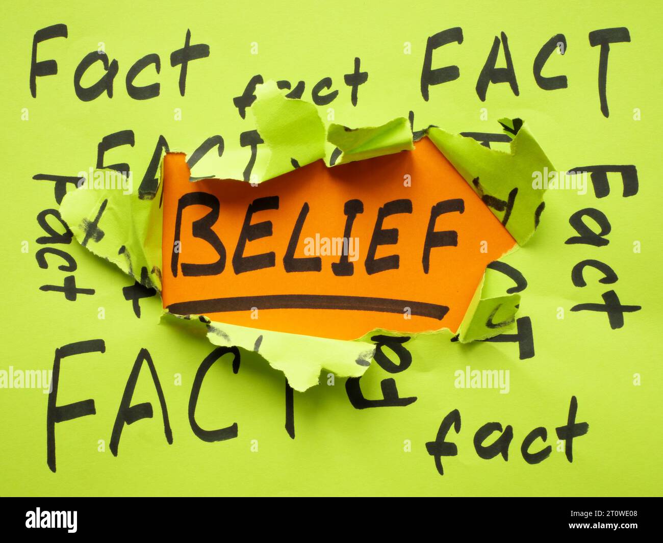Torn papers with written words fact and belief as concept of bias. Stock Photo