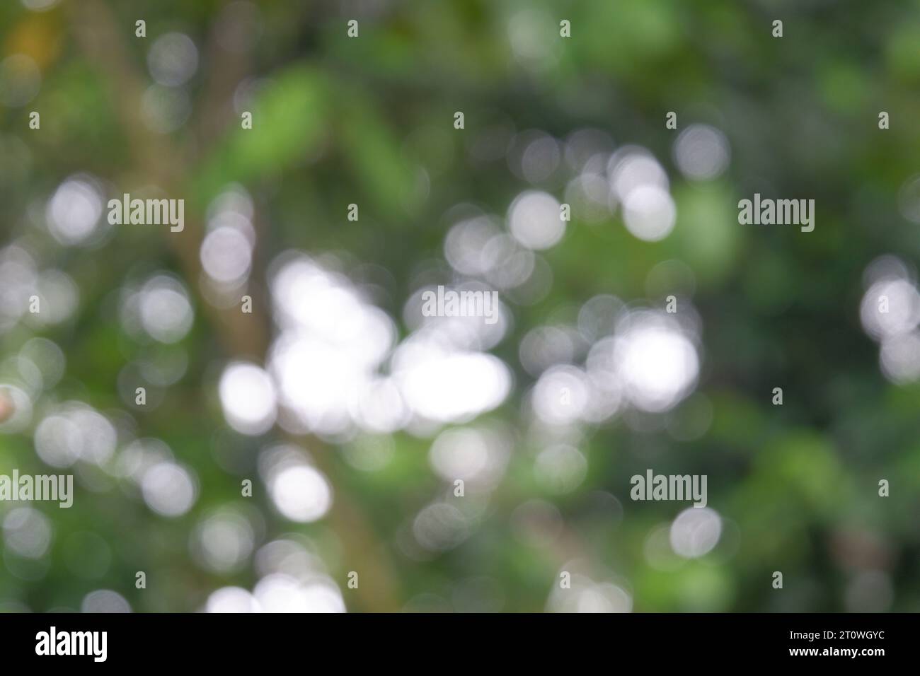 Captured sunlight hi-res stock photography and images - Alamy