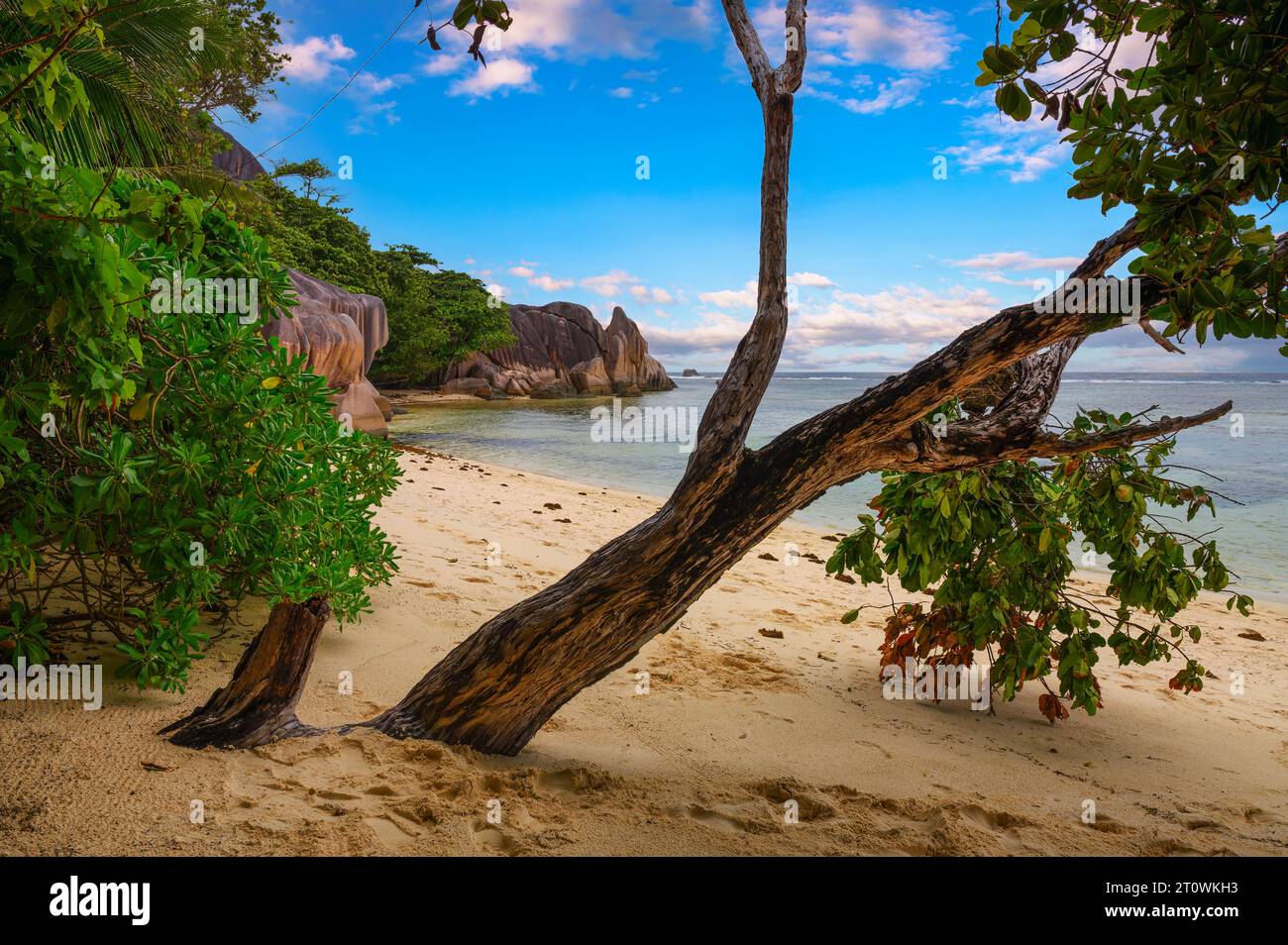 Anse Source D'argent beach at the La Digue Island, Seychelles Stock Photo