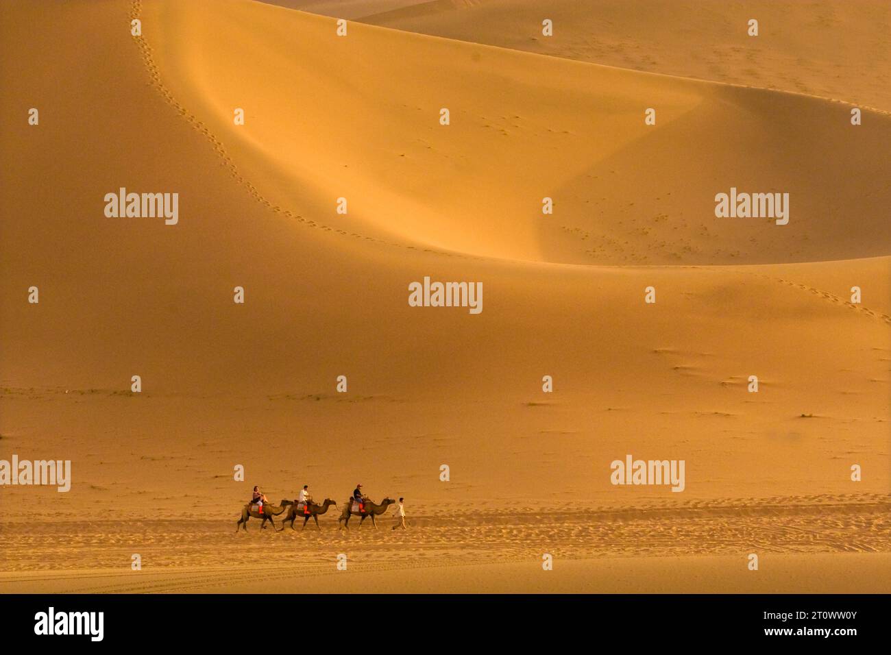 Late evening in the sand dunes near Dunhuang, Gansu province, China Stock Photo
