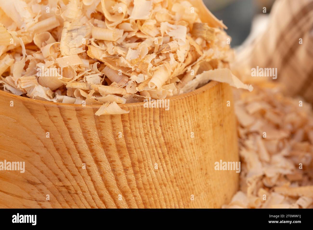 Swiss Pine Chippings Also Called Pinus Cembra Stock Photo