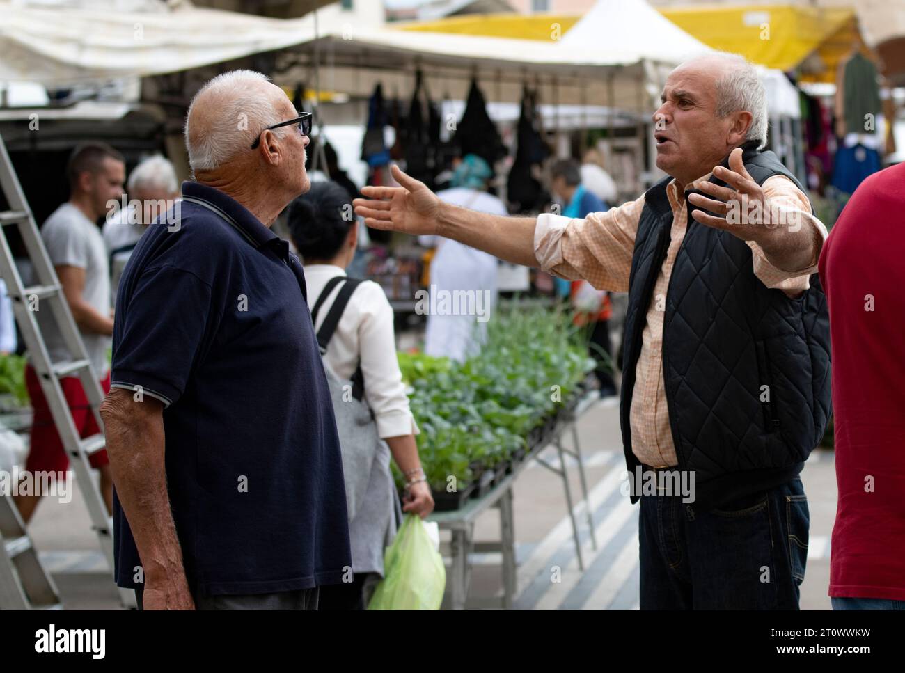 Colle Val d'Elsa Market Day Tuscany Italy September 2023 Stock Photo ...