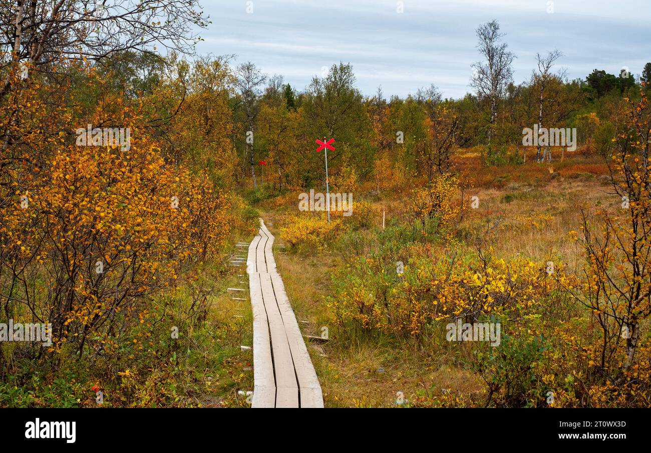 September 14, 2023: The Kungsleden trail is well marked for both summer and winter travel and boardwalks protect the fragile arctic environment throughout the Abisko National Park, Abisko, Sweden. The Kungsleden is one of the world's most magnificent long distance hiking trails. The trail is over 430km long and travels from Abisko in the north to the southern terminus in Hemavan. Supported by 16 mountain cabins, the trail is popular for hikers during the summer months and for ski touring during the winter. Stock Photo