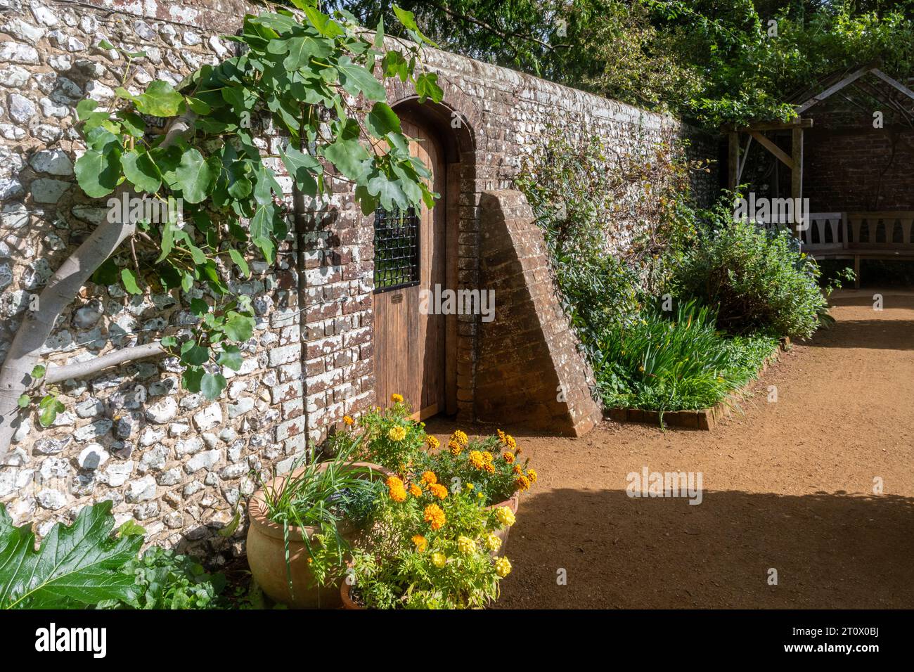 Petersfield Physic Garden, Hampshire, England, UK, during October or autumn Stock Photo