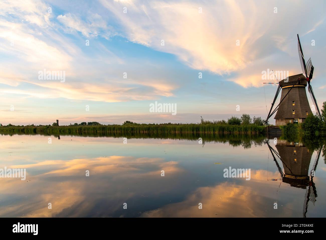 Typical Dutch windmill along long row of reed beds in the Kinderdijk area, the Netherlands with a near perfect reflection of the windmill, reed beds a Stock Photo
