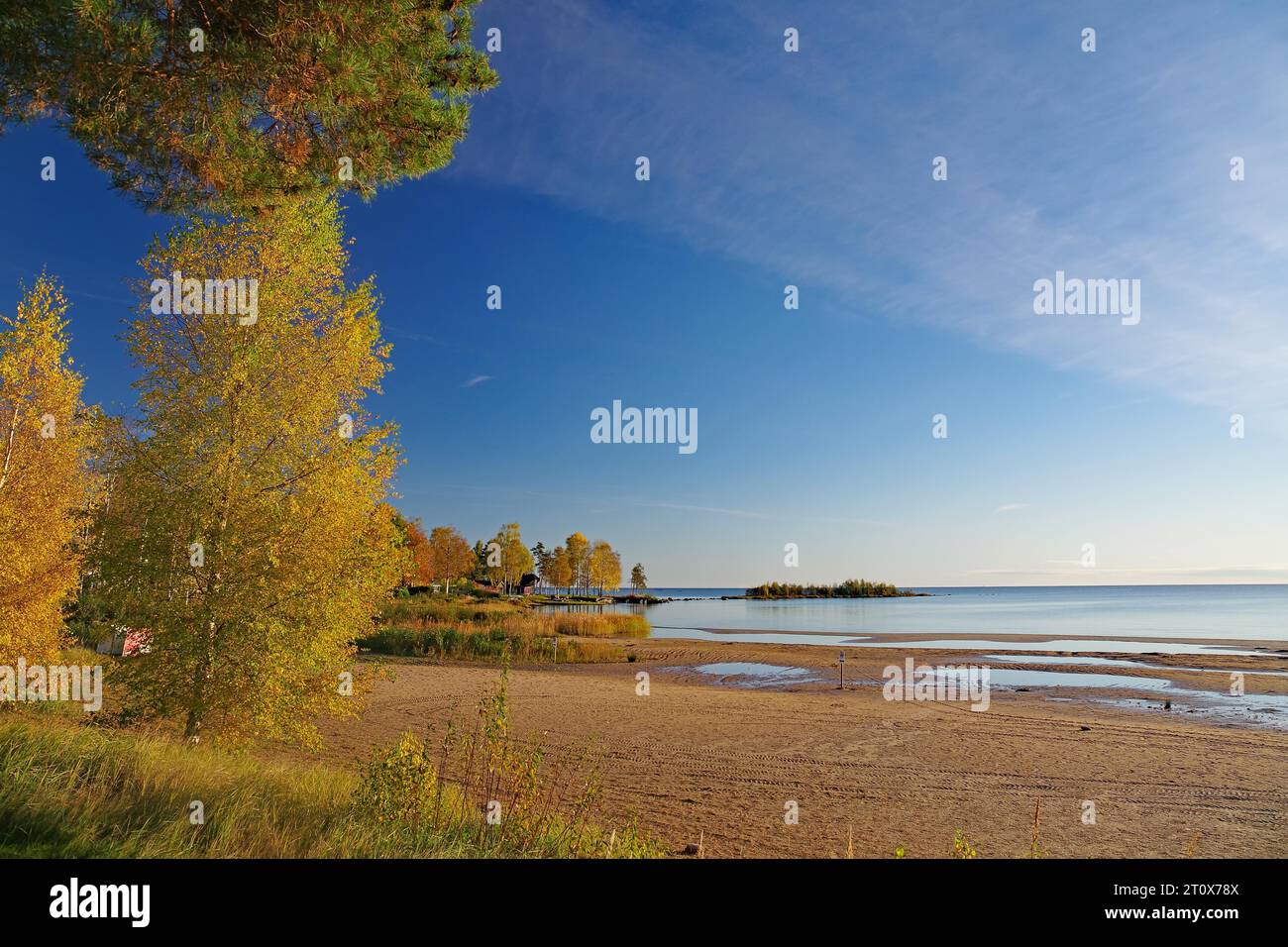 Autumn coloured trees on the shore of Lake Vaenern, blue sky, October, Mellerud, Sweden Stock Photo